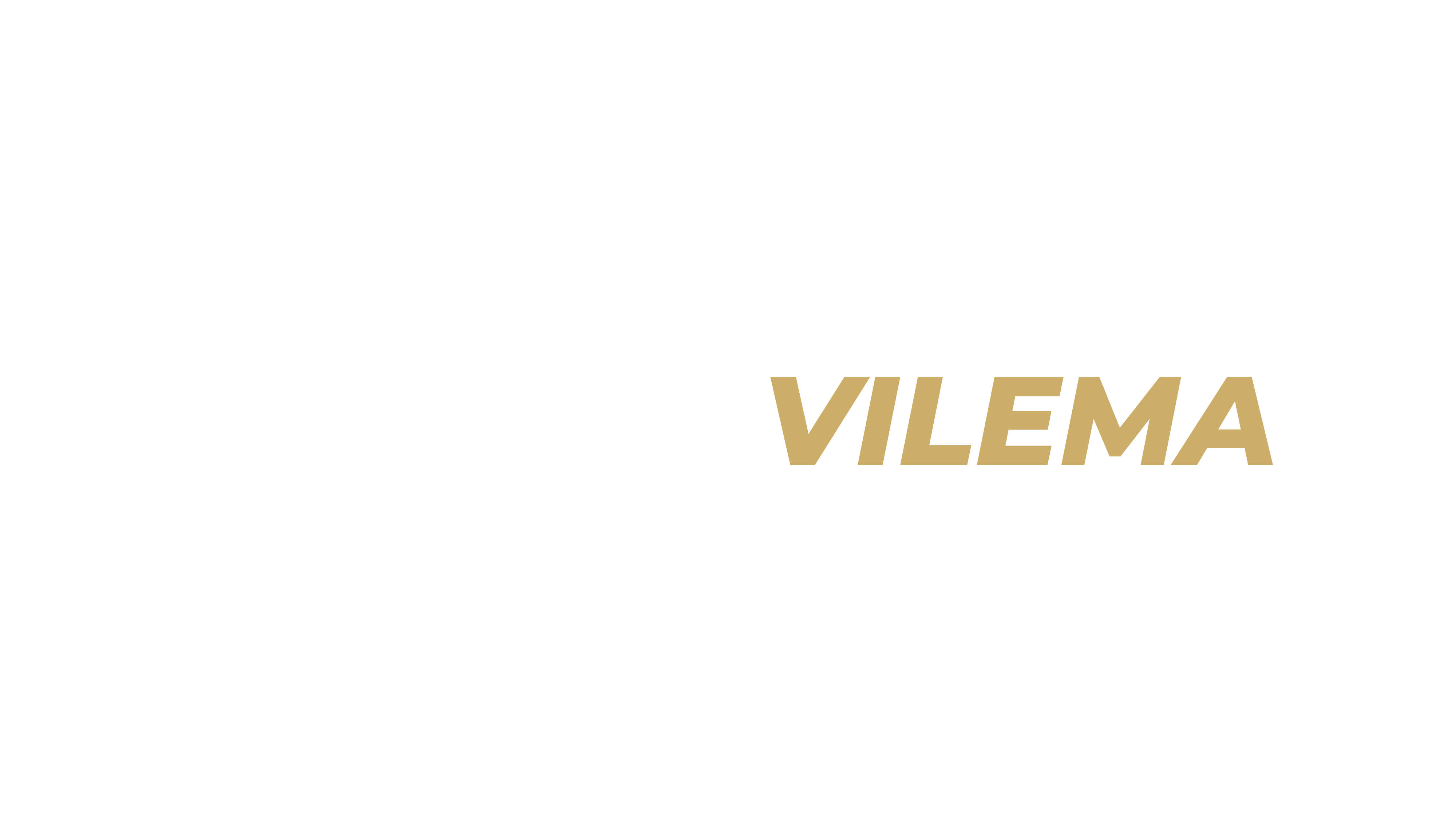 Fausto Vilema